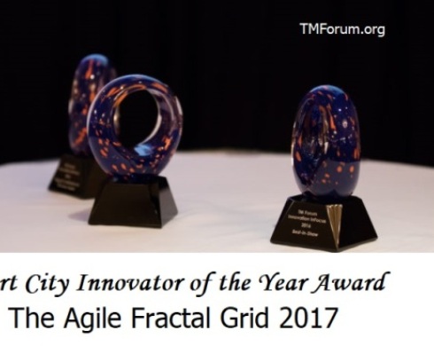 Agile Fractal Grid Honored with TM Forum Excellence Award 2017